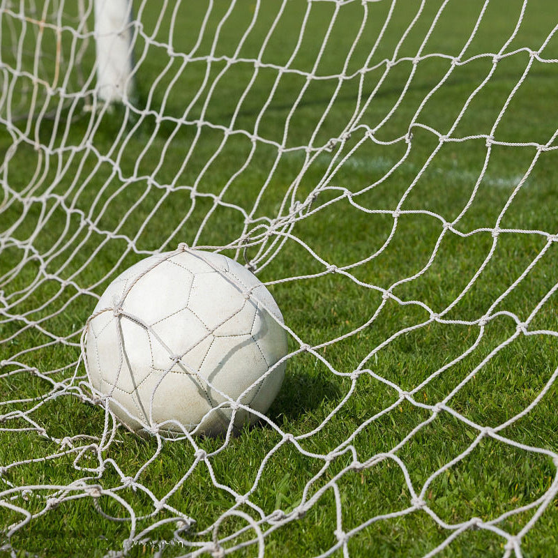 Multi-specification weather resistant football net