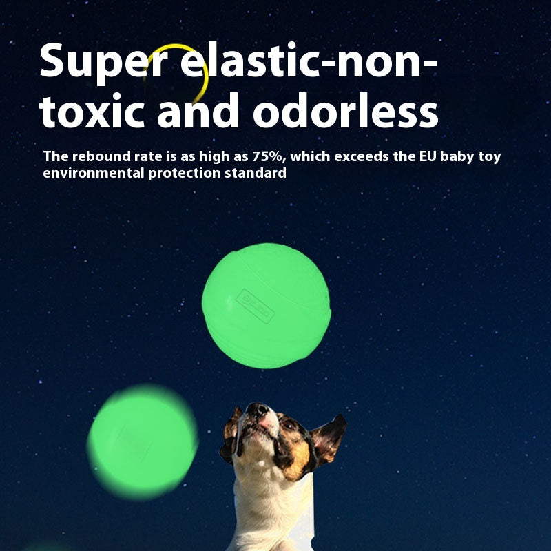 Luminous Toy Ball Puppy Dog Molar Elastic Ball Rubber Ball