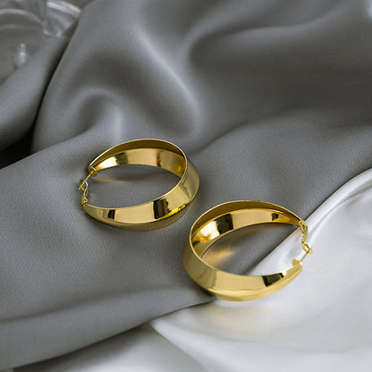 Mirror Polishing Metallic Exaggerated Geometry Round Ring Earrings